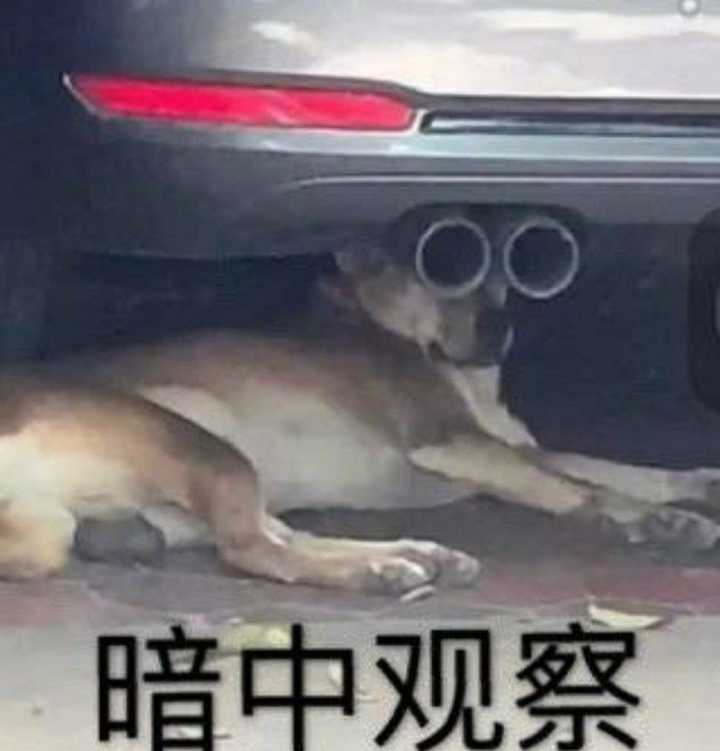 暗中观察