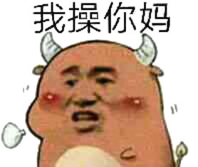 我操你妈