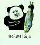 多乐是什么jb