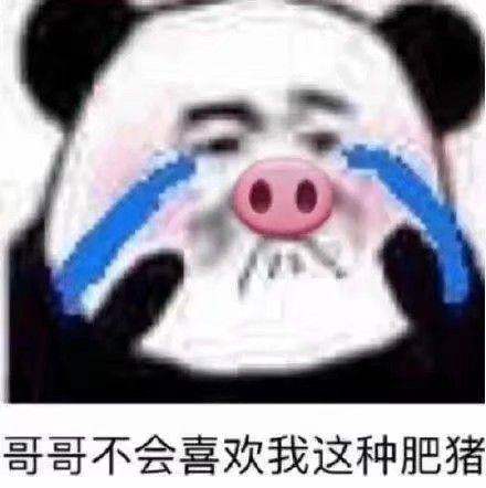 哥哥不会喜欢我这种肥猪