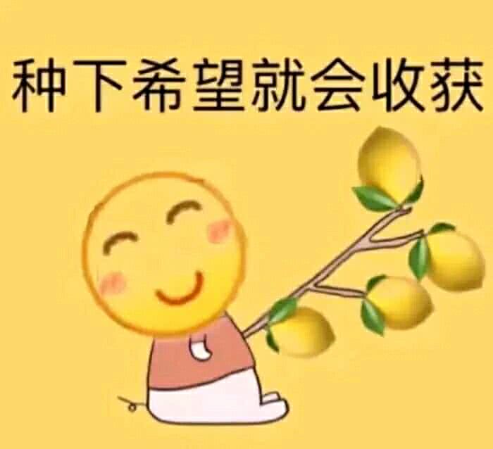 种下希望就会收获