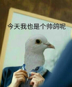 今天我也是个帅鸽呢