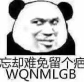 忘却难免留个疤，WQNMLGB