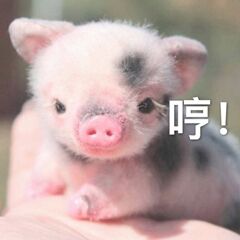 哼！