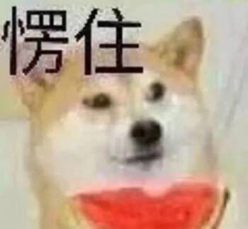 愣住