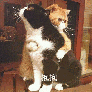 抱抱