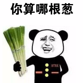 你算哪根葱