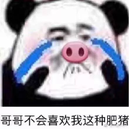 哥哥不会喜欢我这种肥猪