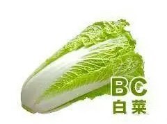 BC（白菜）