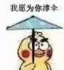 我愿为你撑伞