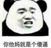 你他妈就是个傻逼