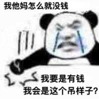 我他妈怎么就没钱