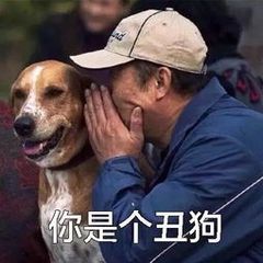 你是个丑狗