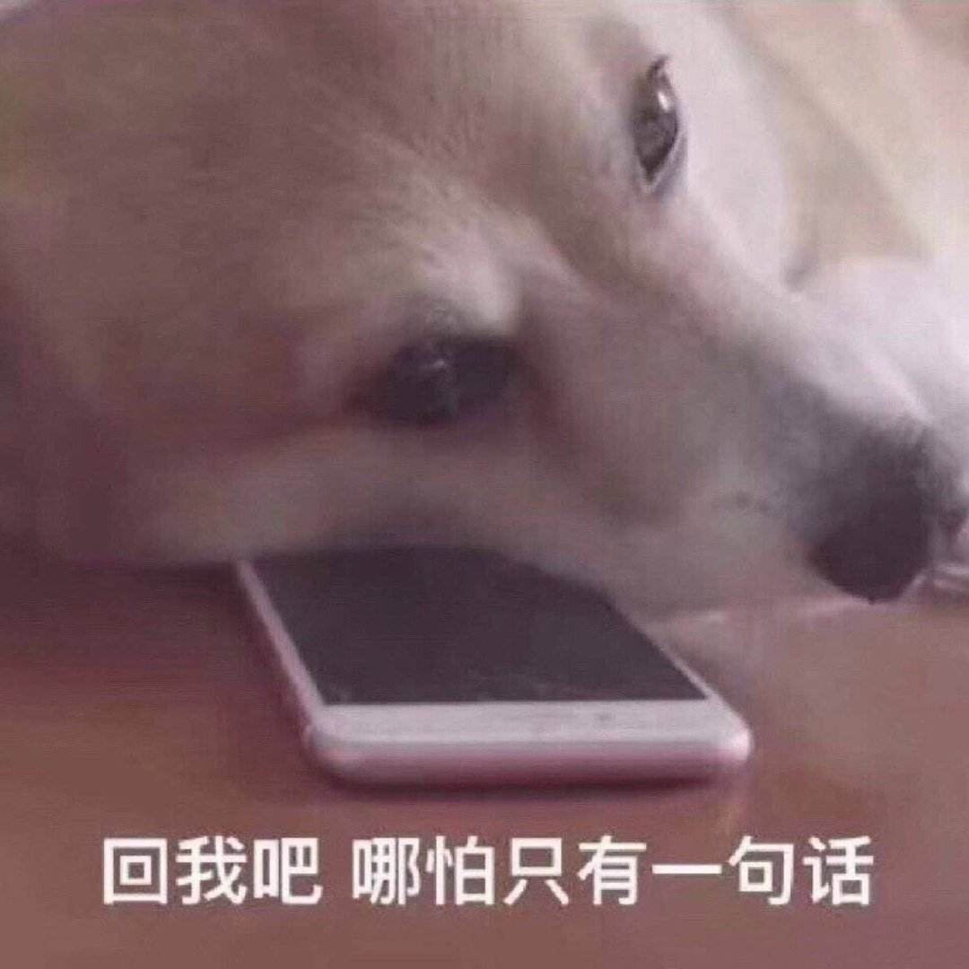 回我吧，哪怕只有一句话