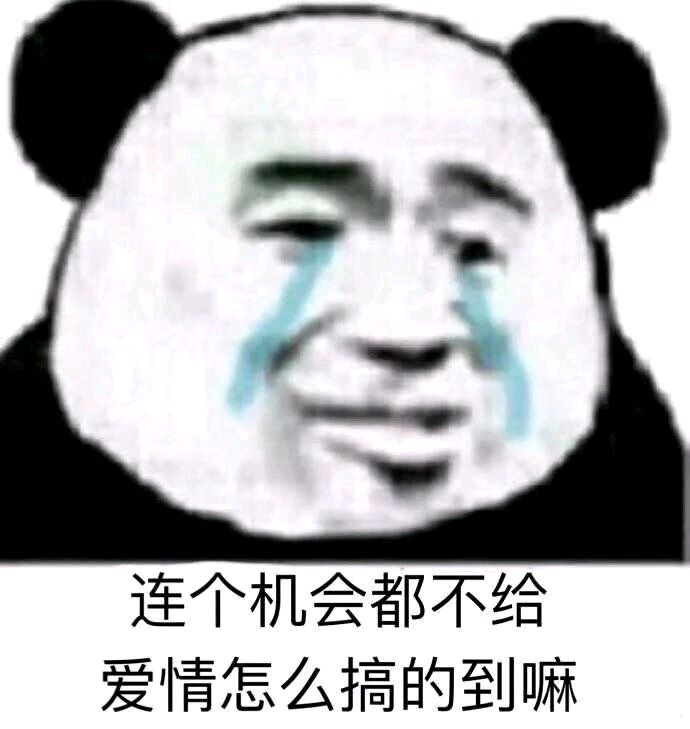 连个机会都不给，爱情怎么搞得到嘛