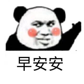 早安安