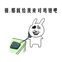 操.那就给我来对鸡翅吧