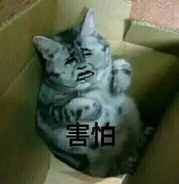 害怕
