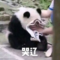 哭辽
