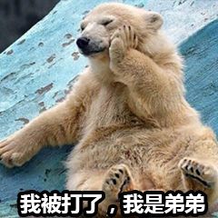 我被打了，我是弟弟