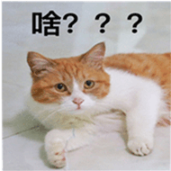啥？？？