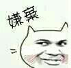 嫌弃了
