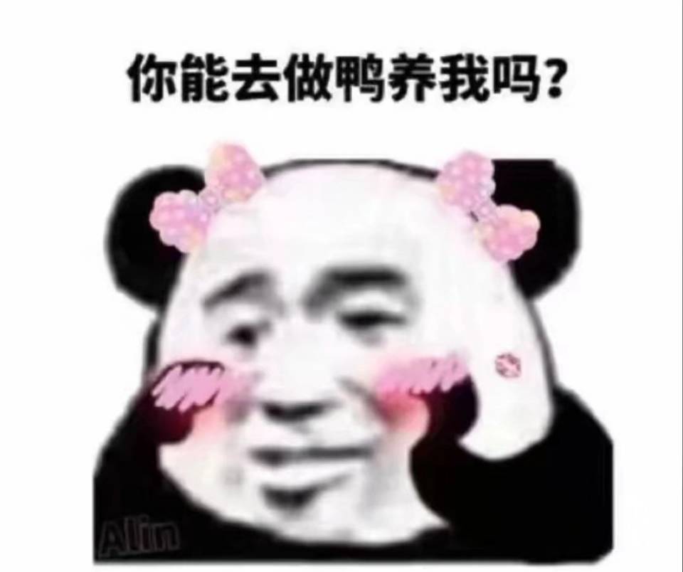 你能去做鸭养我吗？