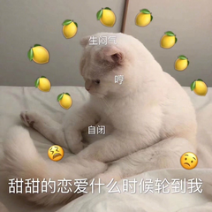 甜甜的恋爱，什么时候轮到我