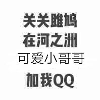 关关雎鸠，在河之洲，可爱小哥哥，加我QQ