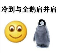 冷到与企鹅肩并肩