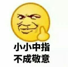 小小中指不成敬意