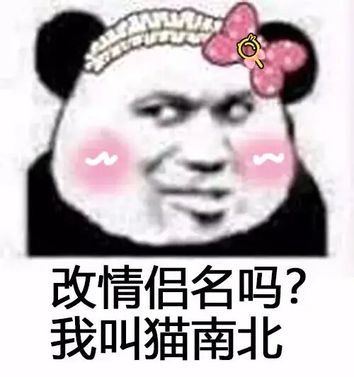 改情侣名吗？我叫猫南北