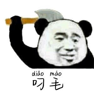 叼毛