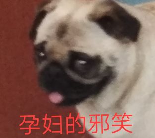 孕妇的邪笑