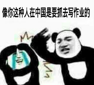 像你这种人，在中国是要抓去写作业的