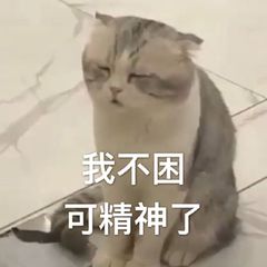 我不困，可精神了