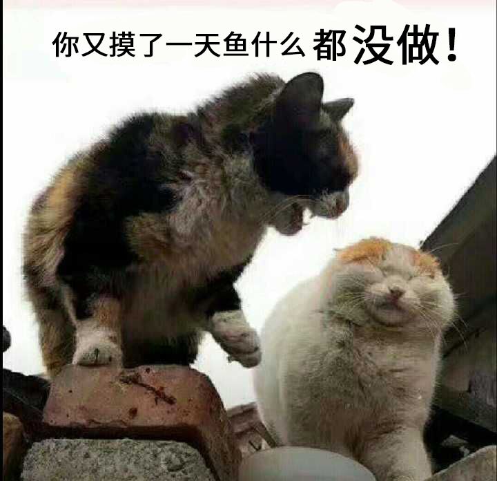 你又摸了一天鱼什么都没做！