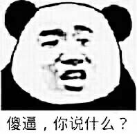 傻逼，你说什么？