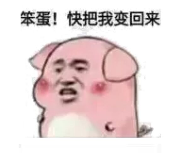 笨蛋！快把我变回来