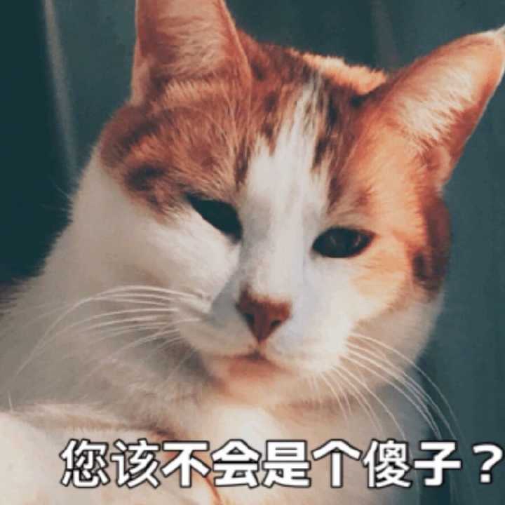 您该不会是个傻子？