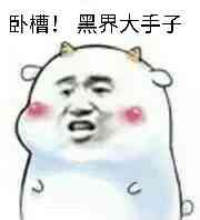 卧槽！黑界大手子