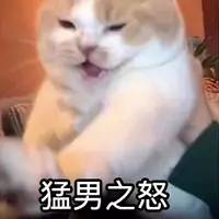 猛男之怒