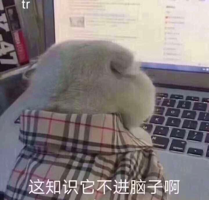 这知识它不进脑子啊