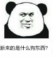 新来的是什么狗东西？