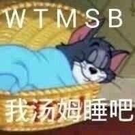 我汤姆睡吧（WTMSB）