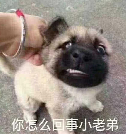 你怎么事小老弟