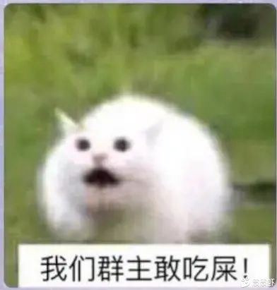 我们群主敢吃屎！