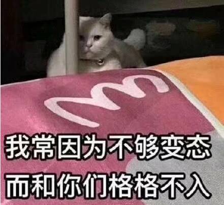 我常因为不够变态，而和你们格格不入