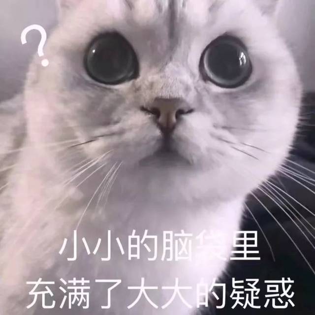 小小的脑里，充满了大大小疑惑