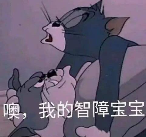 噢，我的智障宝宝